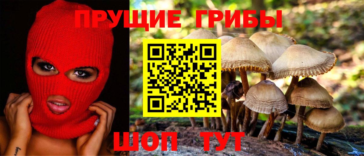 Галлюциногенные грибы GOLDEN TEACHER  Вход с VPN  Новоалександровск 